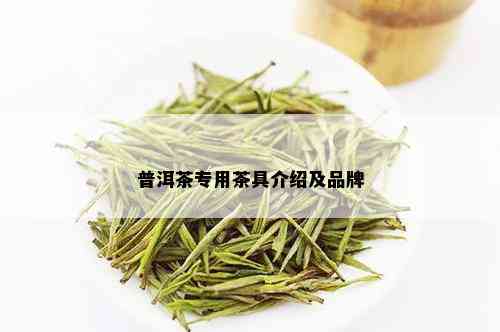 普洱茶专用茶具介绍及品牌