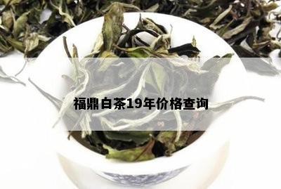 福鼎白茶19年价格查询