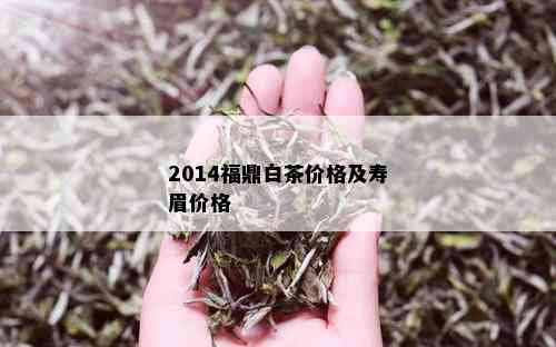 2014福鼎白茶价格及寿眉价格