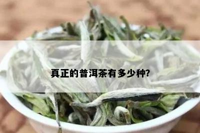 真正的普洱茶有多少种？