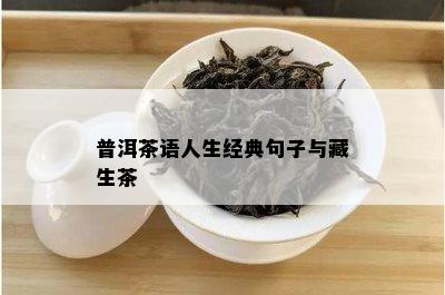 普洱茶语人生经典句子与藏生茶