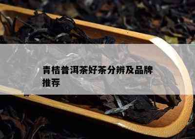 青桔普洱茶好茶分辨及品牌推荐