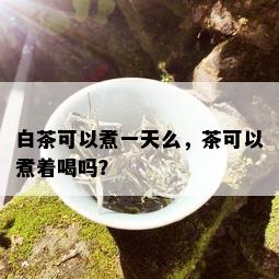 白茶可以煮一天么，茶可以煮着喝吗？