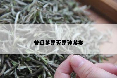 普洱茶是否是砖茶类