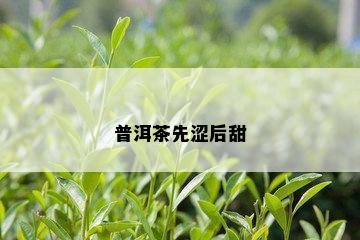 普洱茶先涩后甜