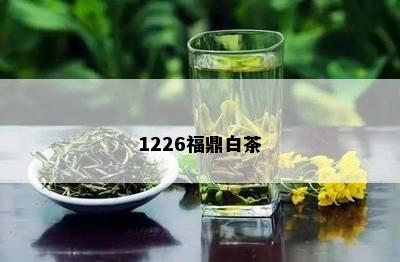 1226福鼎白茶