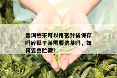 普洱熟茶可以用密封袋保存吗碎银子茶需要洗茶吗，如何妥善贮藏？