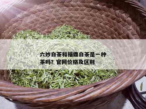 六妙白茶和福鼎白茶是一种茶吗？官网价格及区别