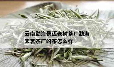 云南勐海景迈老树茶厂勐海天茗茶厂的茶怎么样