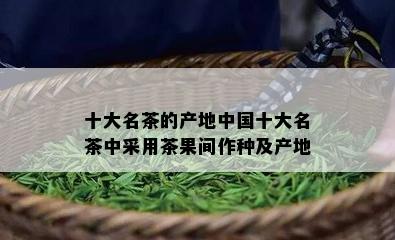 十大名茶的产地中国十大名茶中采用茶果间作种及产地