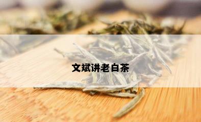 文斌讲老白茶