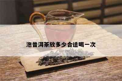 泡普洱茶放多少合适喝一次