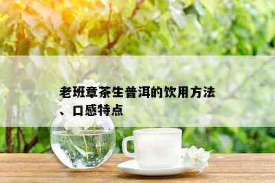 老班章茶生普洱的饮用方法、口感特点