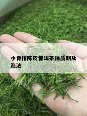 小青柑陈皮普洱茶保质期及泡法