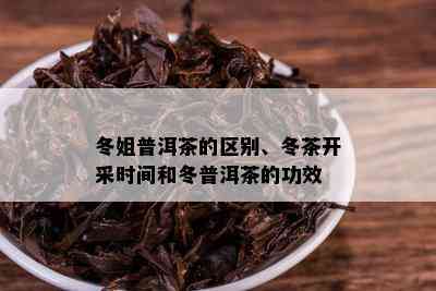 冬姐普洱茶的区别、冬茶开采时间和冬普洱茶的功效