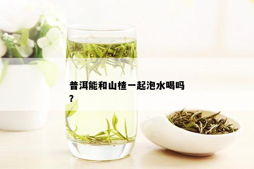 普洱能和山楂一起泡水喝吗？