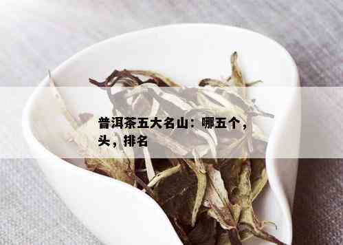 普洱茶五大名山：哪五个，头，排名