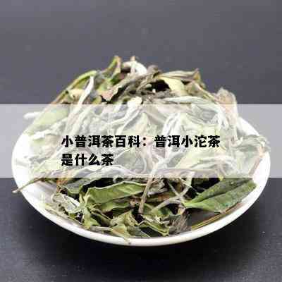 小普洱茶百科：普洱小沱茶是什么茶