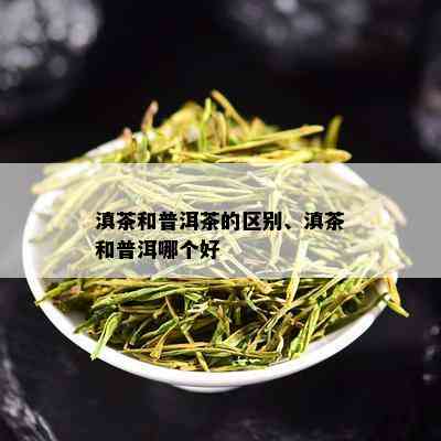 滇茶和普洱茶的区别、滇茶和普洱哪个好