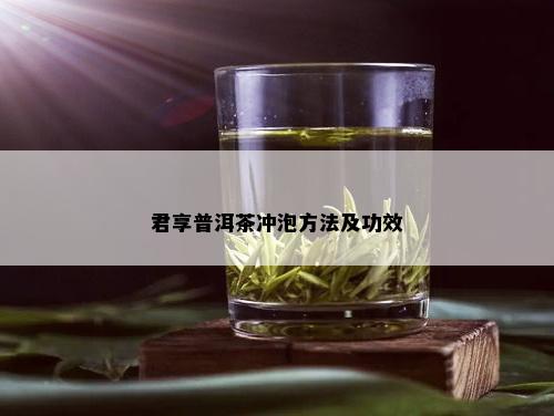 君享普洱茶冲泡方法及功效