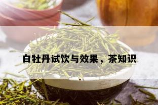 白牡丹试饮与效果，茶知识