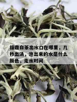 福鼎白茶出水口在哪里，几秒出汤，泡出来的水是什么颜色，走水时间