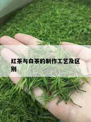 红茶与白茶的制作工艺及区别