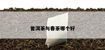 普洱茶与春茶哪个好