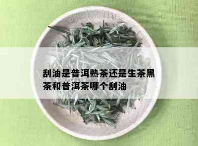 刮油是普洱熟茶还是生茶黑茶和普洱茶哪个刮油