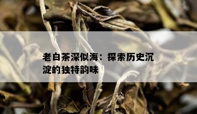 老白茶深似海：探索历史沉淀的独特韵味