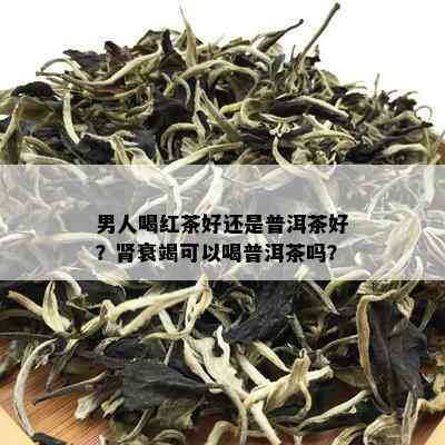 男人喝红茶好还是普洱茶好？肾衰竭可以喝普洱茶吗？