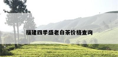 福建四季盛老白茶价格查询