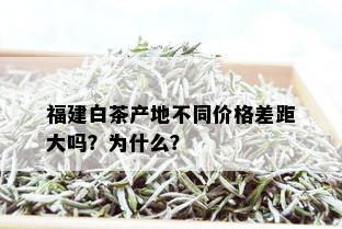 福建白茶产地不同价格差距大吗？为什么？