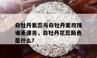 白牡丹紫蕊与白牡丹紫玫瑰谁更漂亮，白牡丹花蕊颜色是什么？