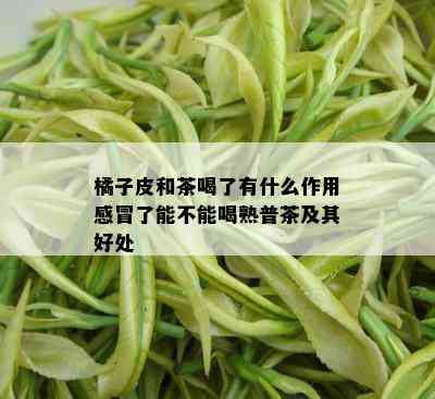 橘子皮和茶喝了有什么作用感冒了能不能喝熟普茶及其好处