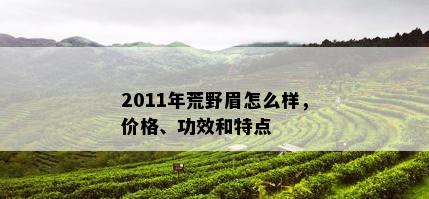 2011年荒野眉怎么样，价格、功效和特点