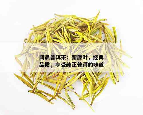 阿晨普洱茶：新原叶，经典品质，享受纯正普洱的味道