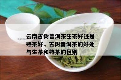 云南古树普洱茶生茶好还是熟茶好，古树普洱茶的好处与生茶和熟茶的区别