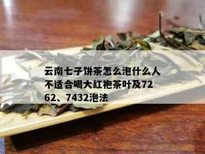 云南七子饼茶怎么泡什么人不适合喝大红袍茶叶及7262、7432泡法