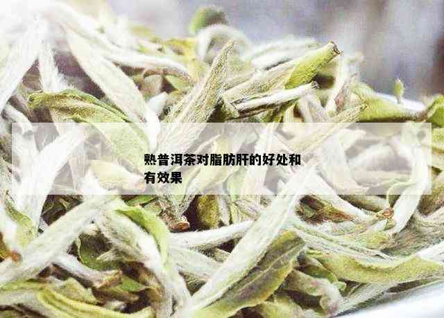 熟普洱茶对脂肪肝的好处和有效果