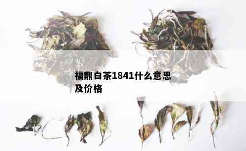 福鼎白茶1841什么意思及价格