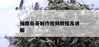 福鼎白茶制作视频教程及讲解