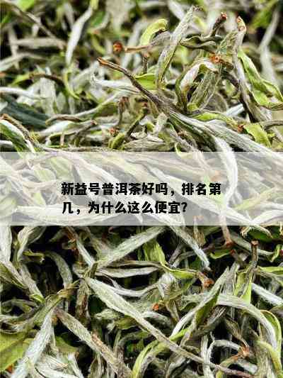 新益号普洱茶好吗，排名第几，为什么这么便宜？