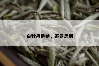 白牡丹是啥，茶意思