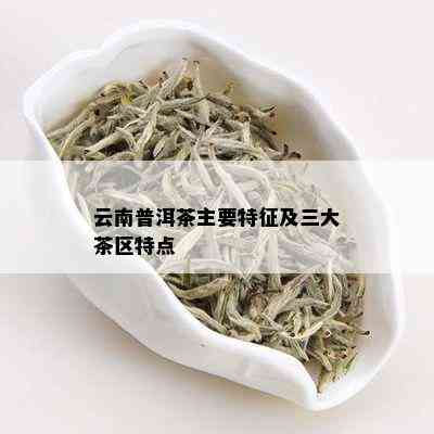 云南普洱茶主要特征及三大茶区特点