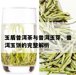 玉盾普洱茶与普洱玉芽、普洱玉饼的完整解析