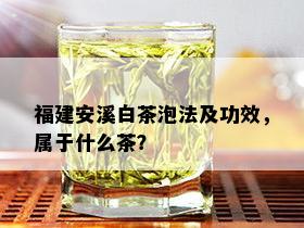 福建安溪白茶泡法及功效，属于什么茶？