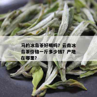 马的冰岛茶好喝吗？云南冰岛茶价格一斤多少钱？产地在哪里？