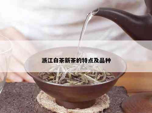 浙江白茶新茶的特点及品种