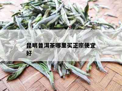 昆明普洱茶哪里买正宗便宜好